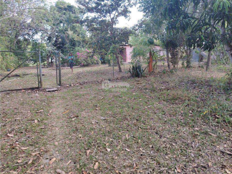 Land at Antón