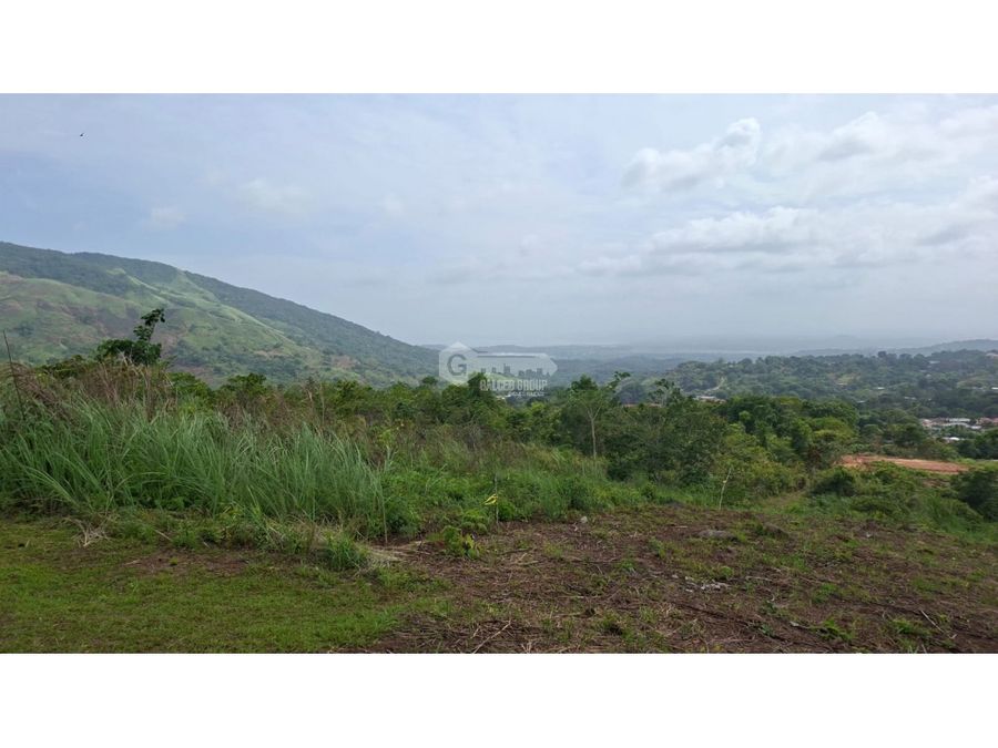 Land at Panama