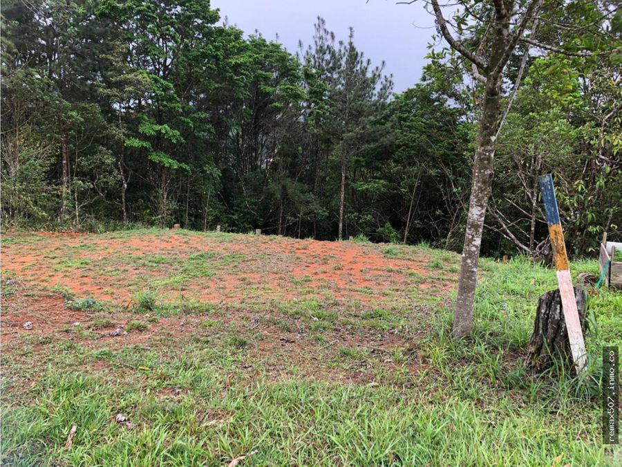 Land at Panamá
