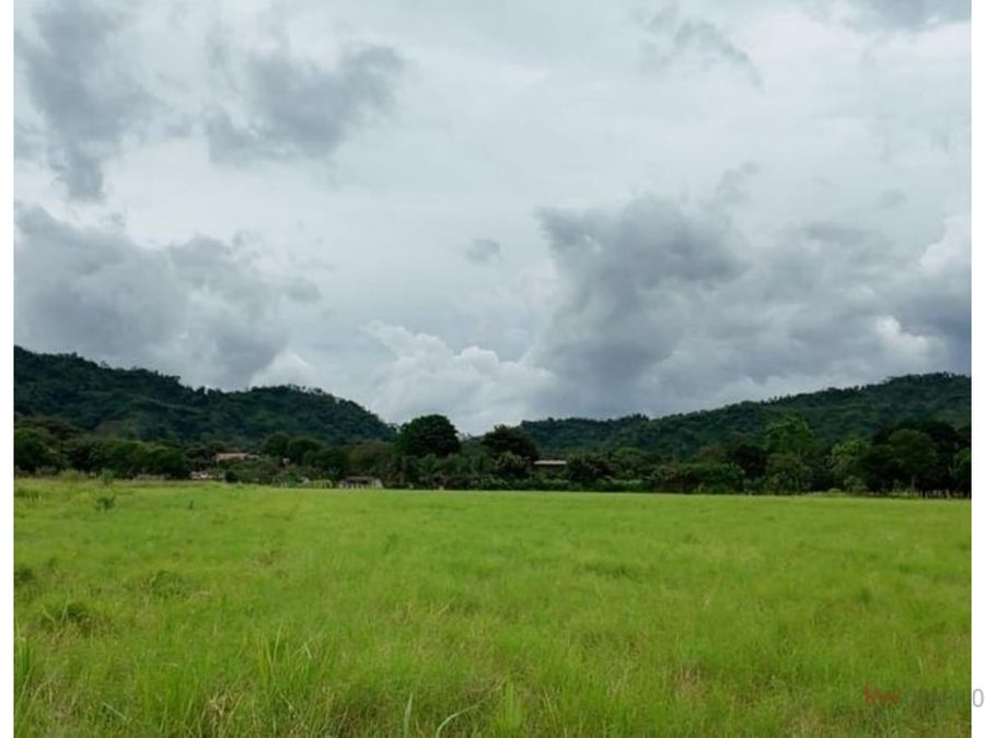 Land at David