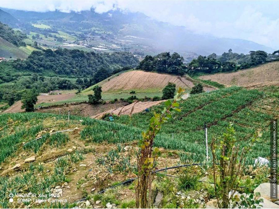 Finca en Bugaba