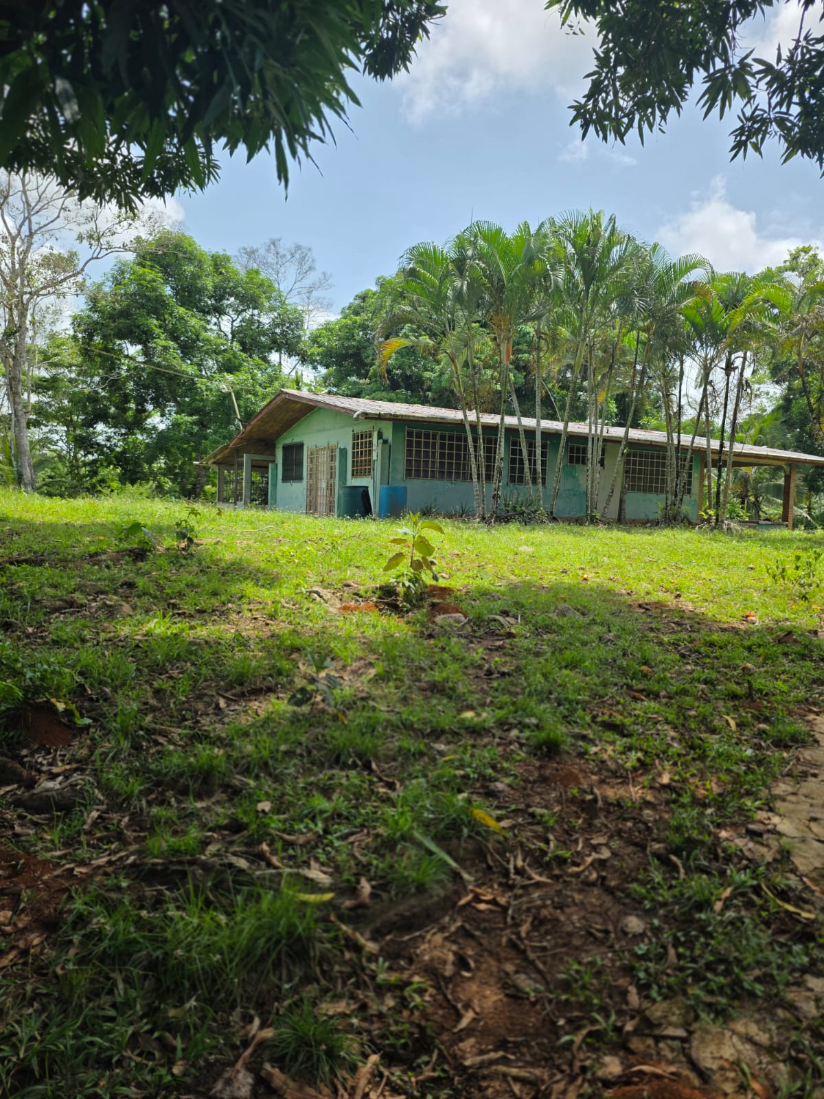 Property at La Chorrera - Mendoza
