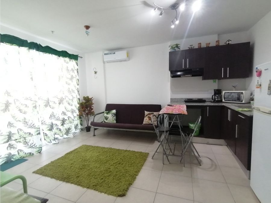 Apartment at San Carlos