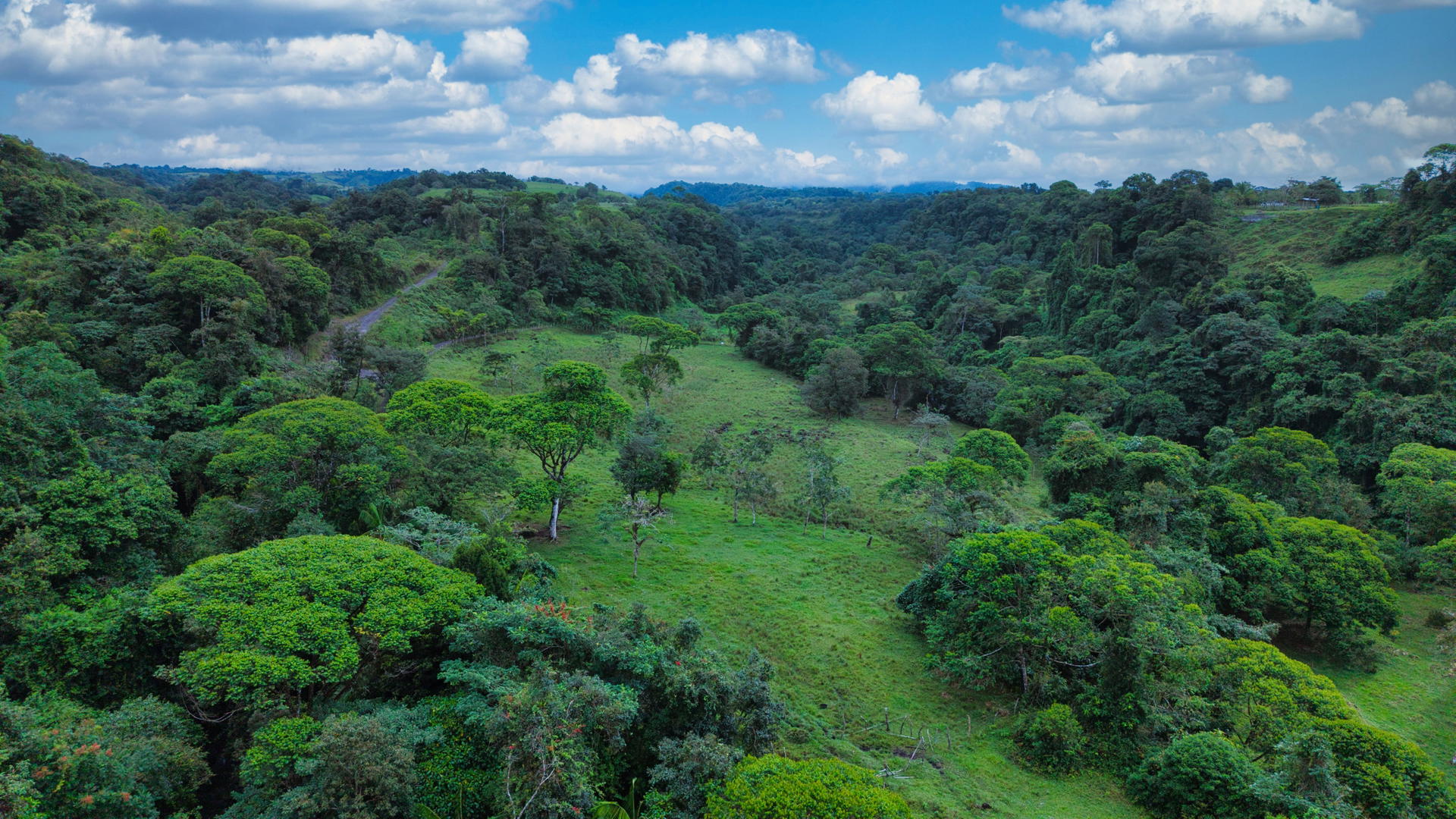 Propiedad en vía santa rita, palmira
