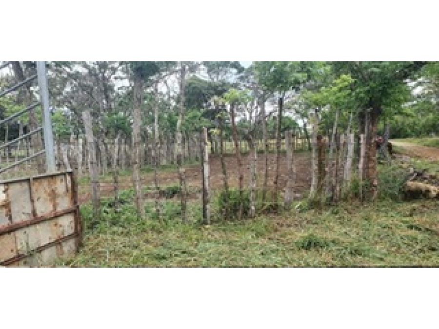 Property at Dolega