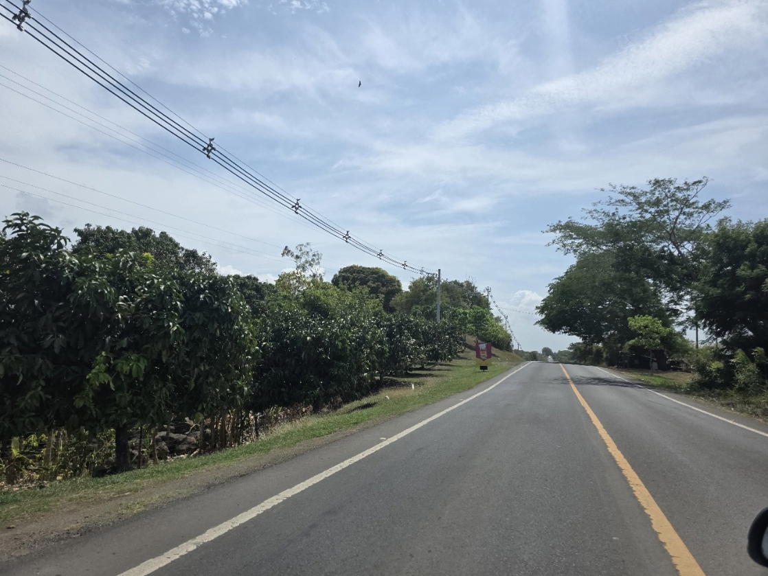 Property at avenida belisario porras santo domingo las tablas