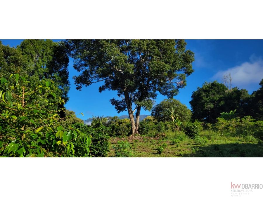 Land at Boquete