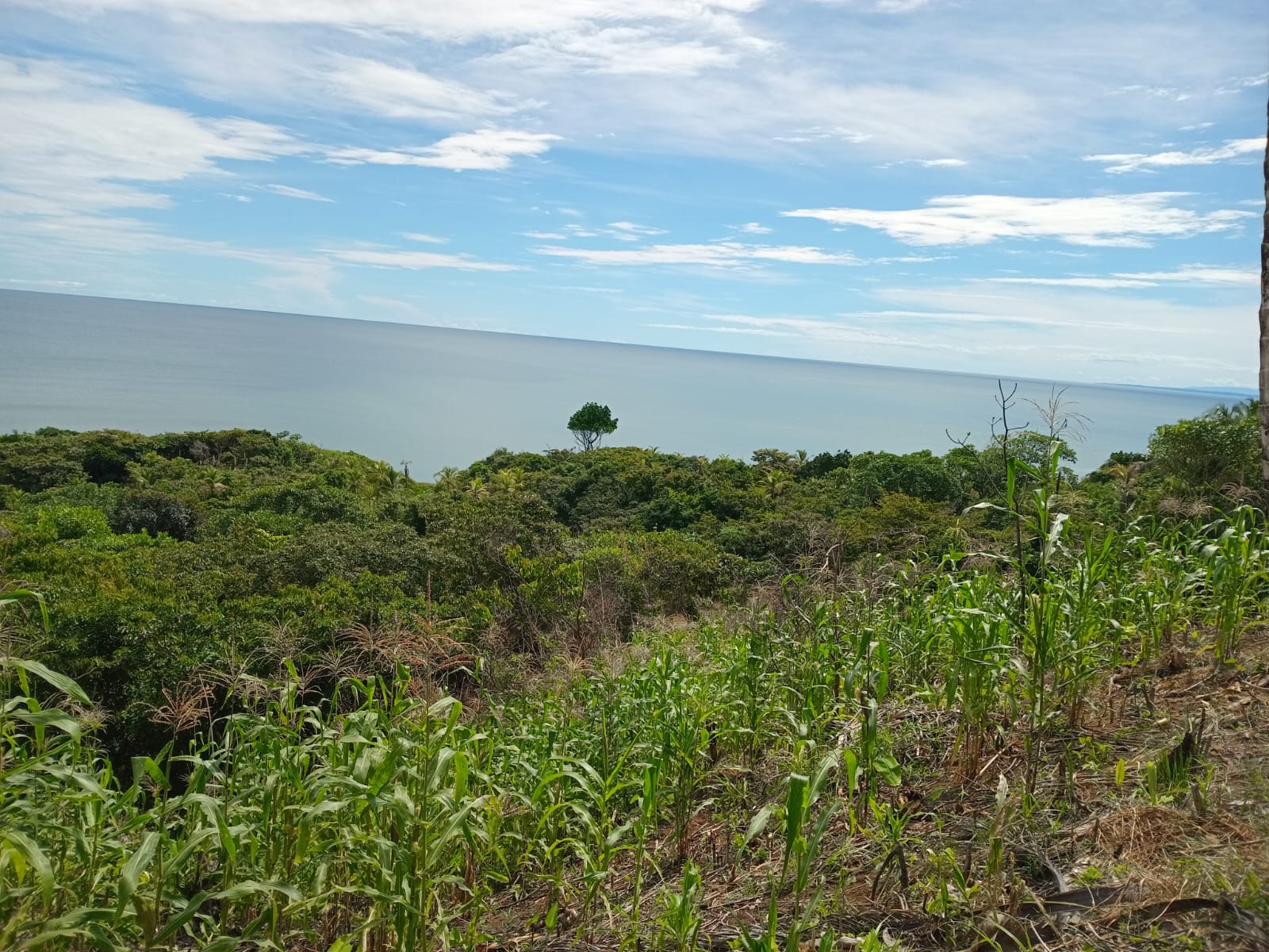 Property at colon