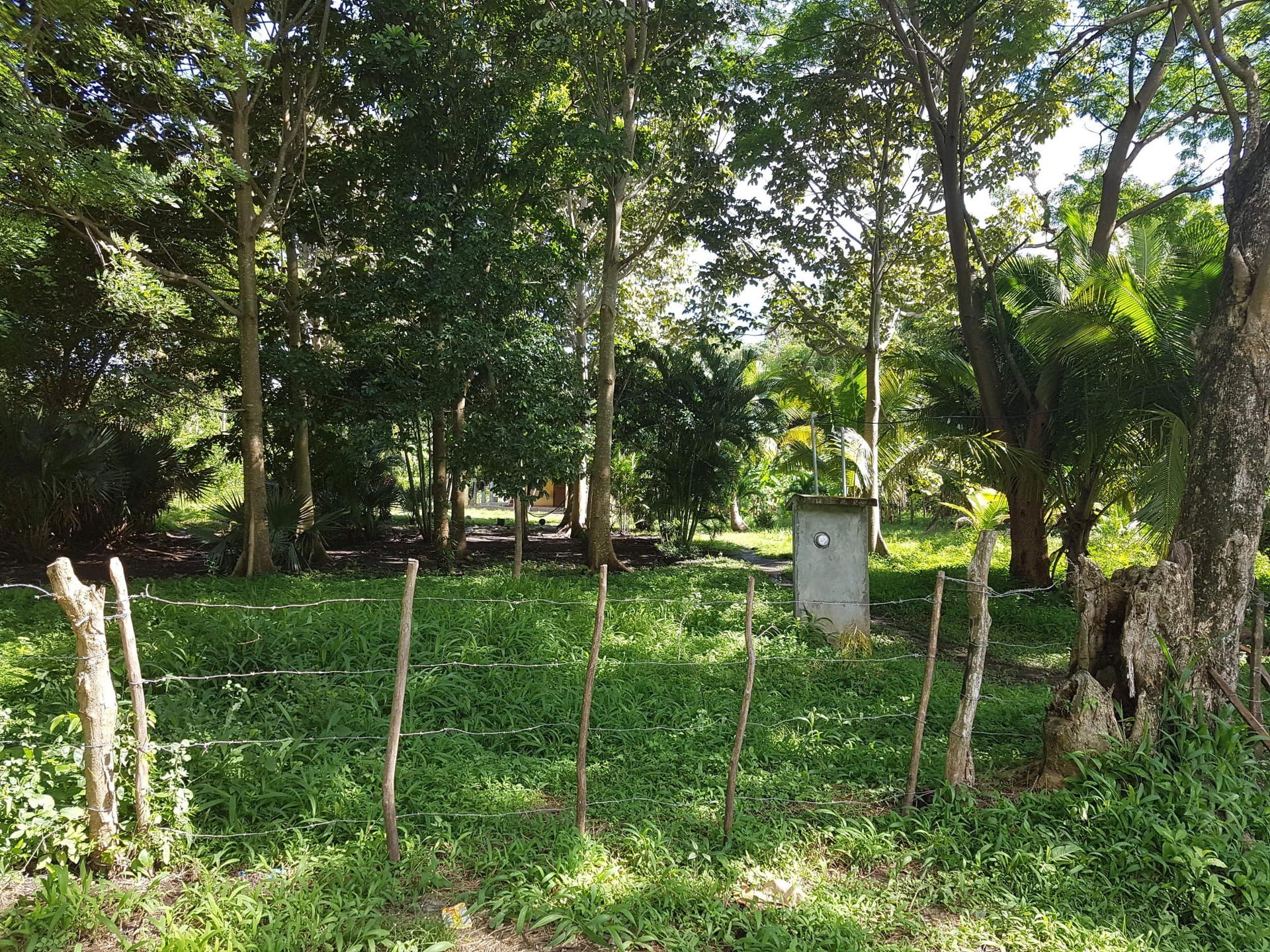Property at capira