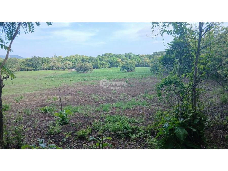 Land at Chame