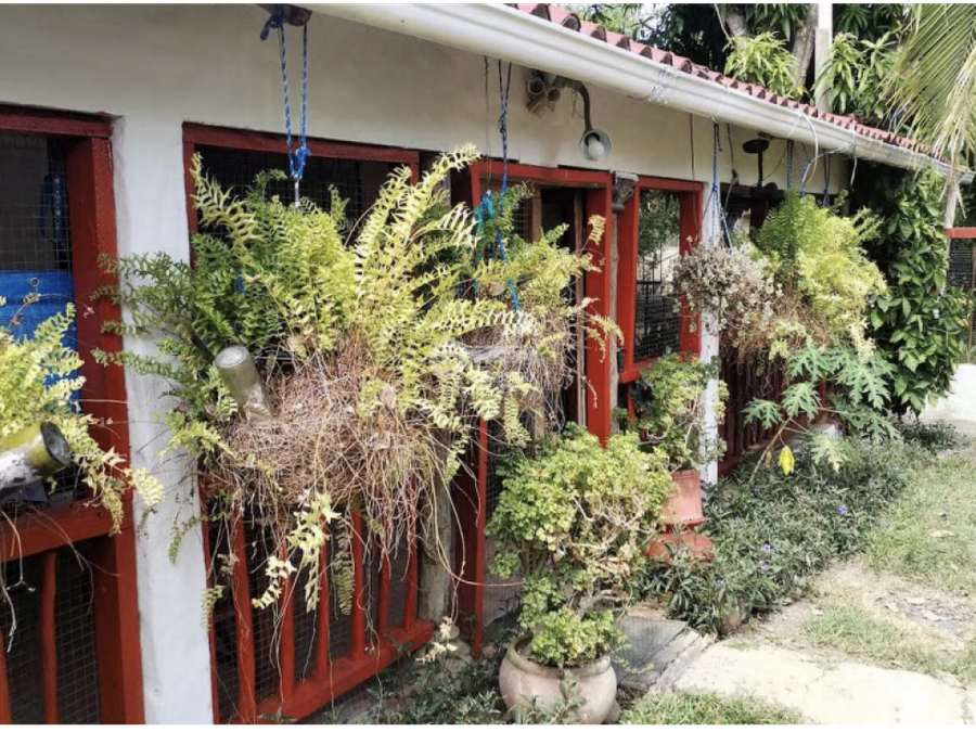 Casa en San Carlos