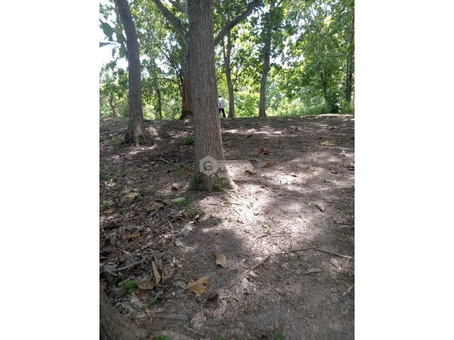 Terreno en San Carlos