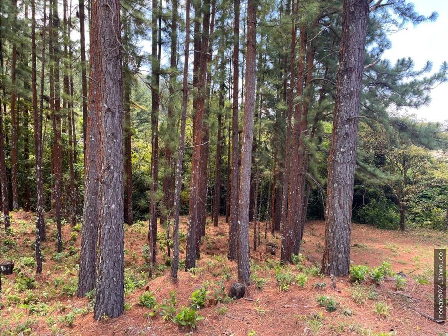 Land at San Carlos