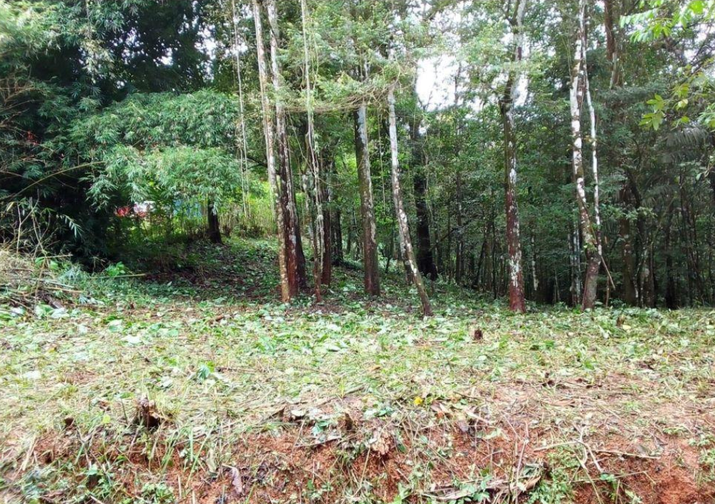 Property at cerro azu, urbanizacion el pinar