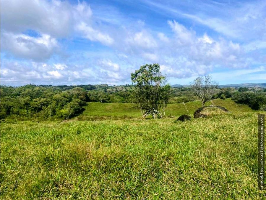 Estate at Bugaba