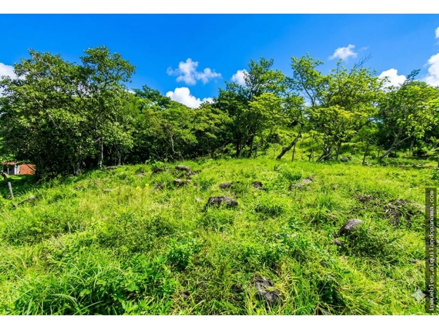 Land at Chame