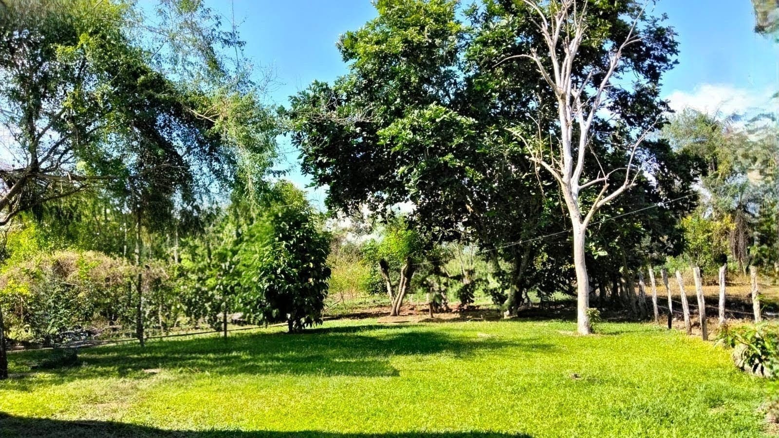 Property at la meseta de boquerón