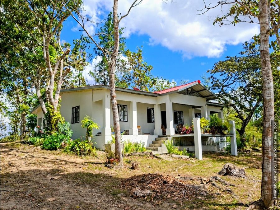 House at Las Minas