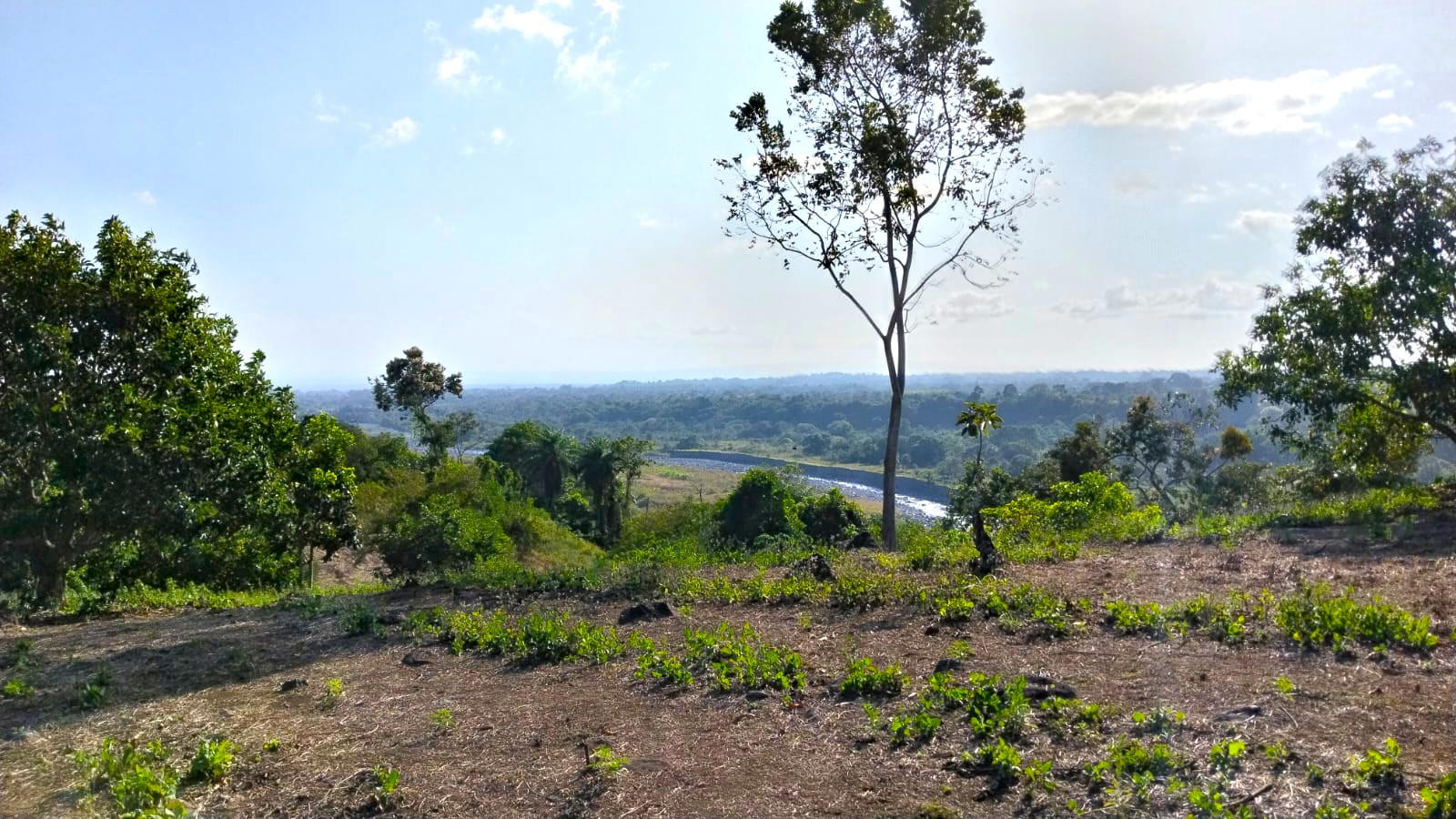 Property at la meseta de boquerón