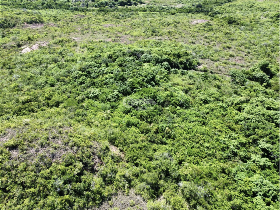 Land at San Carlos