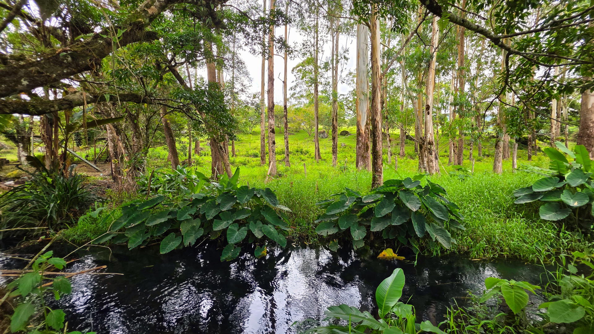 Property at volcan, vìa río sereno