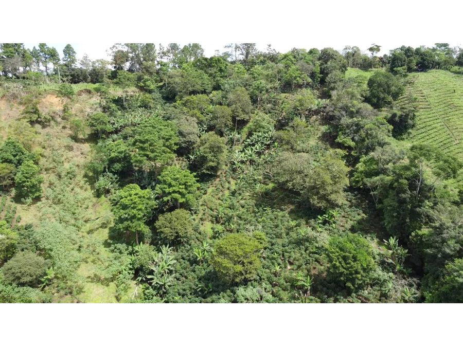 Estate at Renacimiento