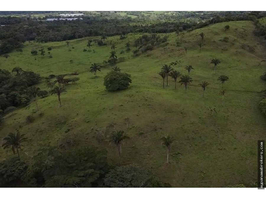 Estate at La Chorrera