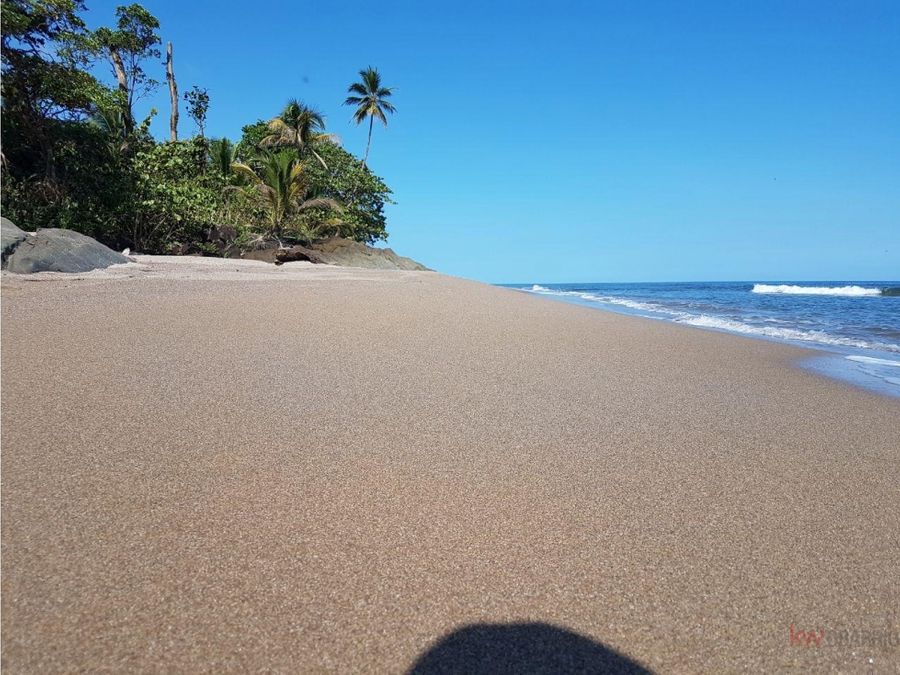 Finca en Panamá