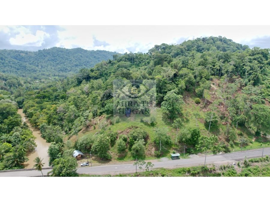 Land at Changuinola
