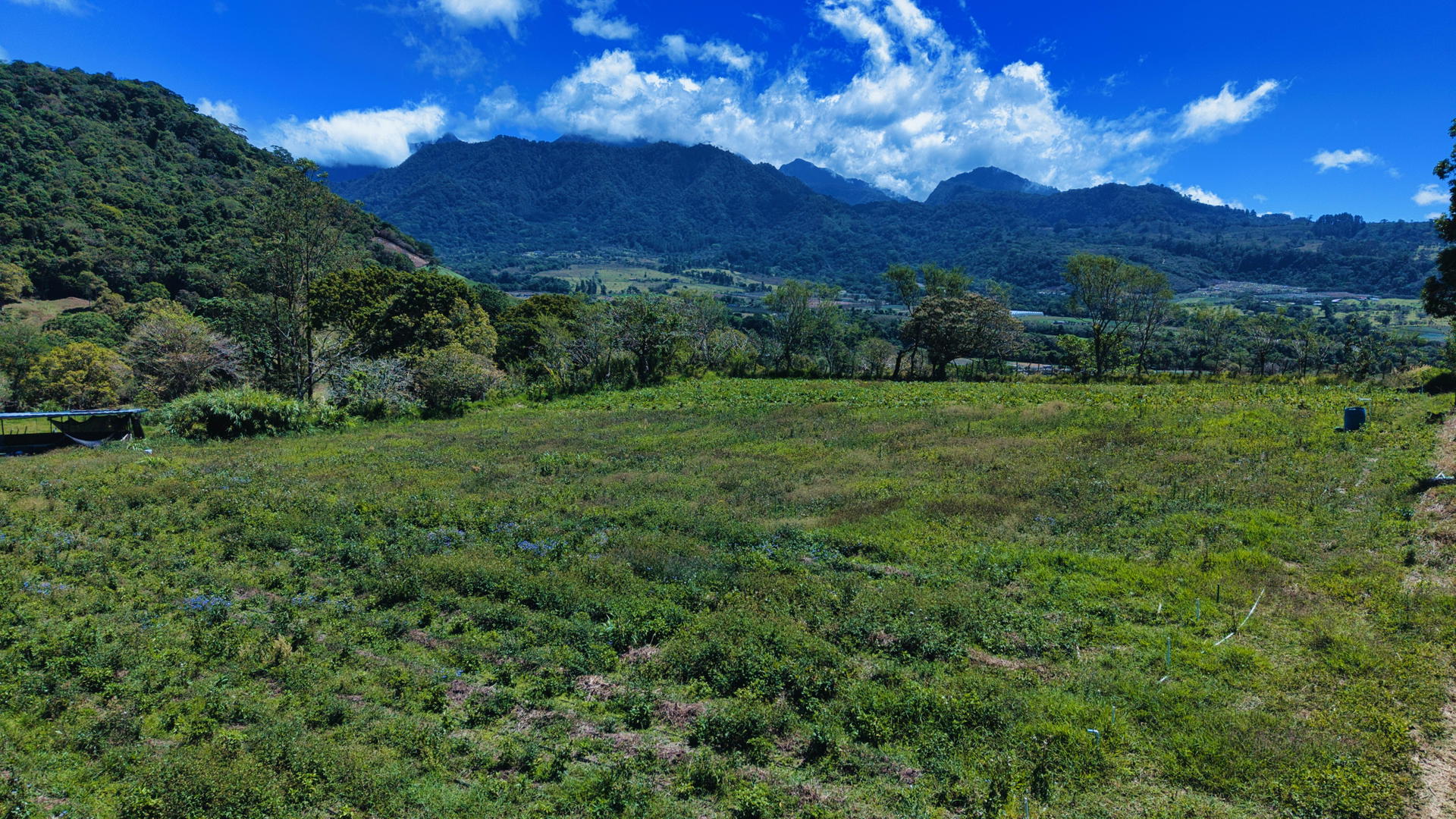 Property at cordillera, boquerón