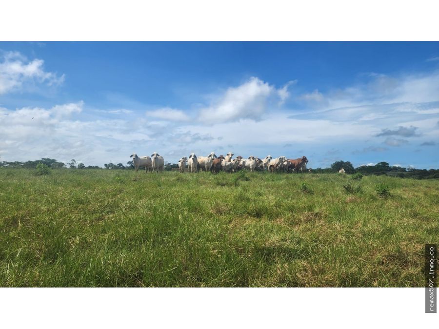 Land at La Chorrera