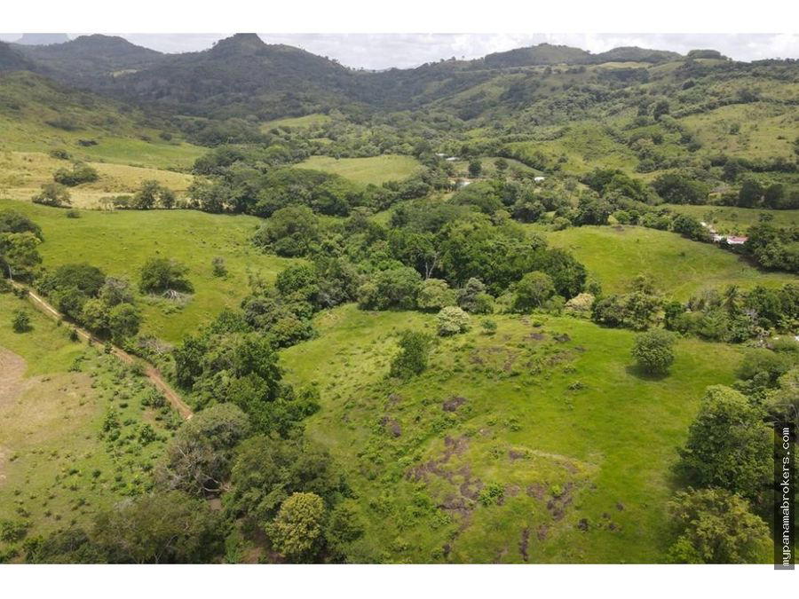 Estate at La Chorrera