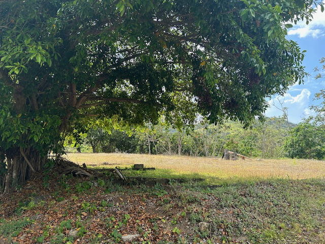 Property at panama