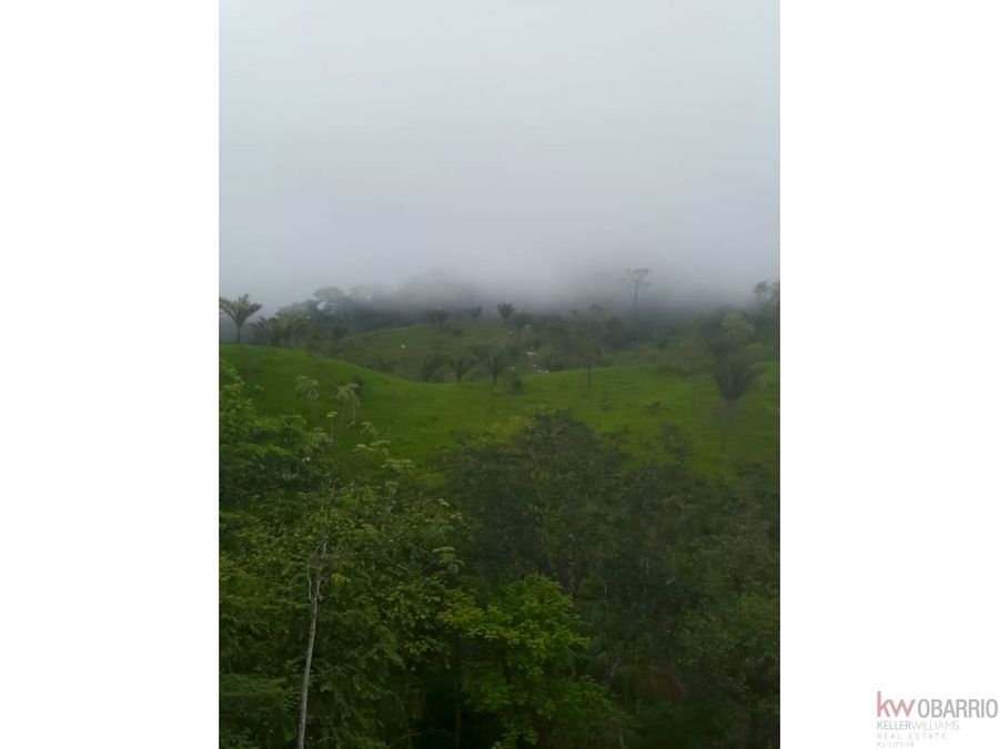 Finca en Chepo