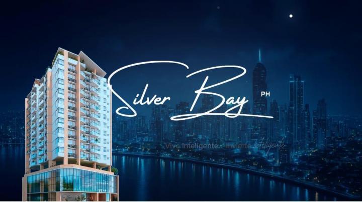Property at silver bay