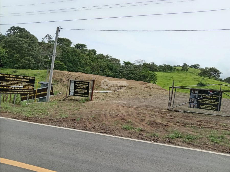 Land at Pedasí