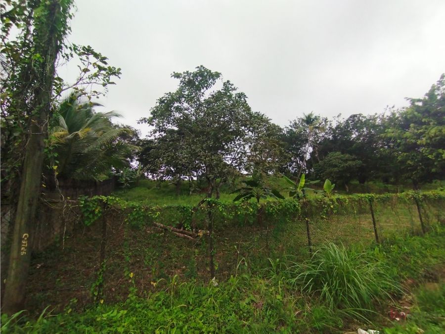 Land at Panamá