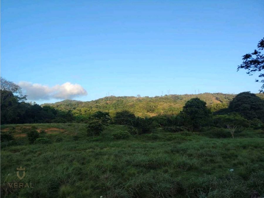 Estate at San Miguelito