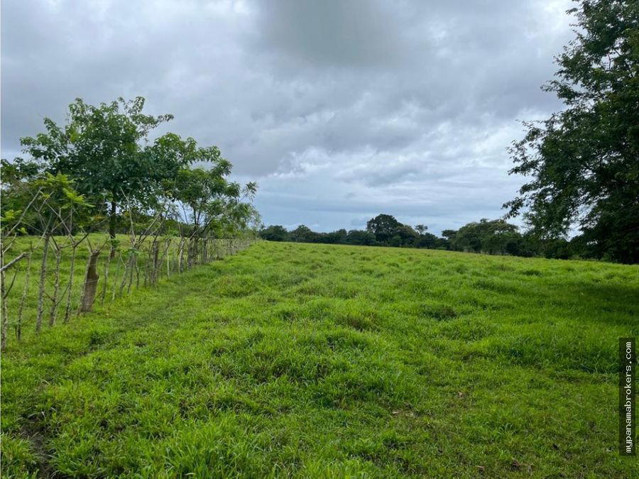 Finca en Pedasí