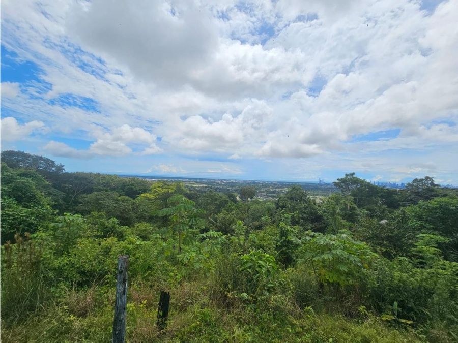 Land at Panamá