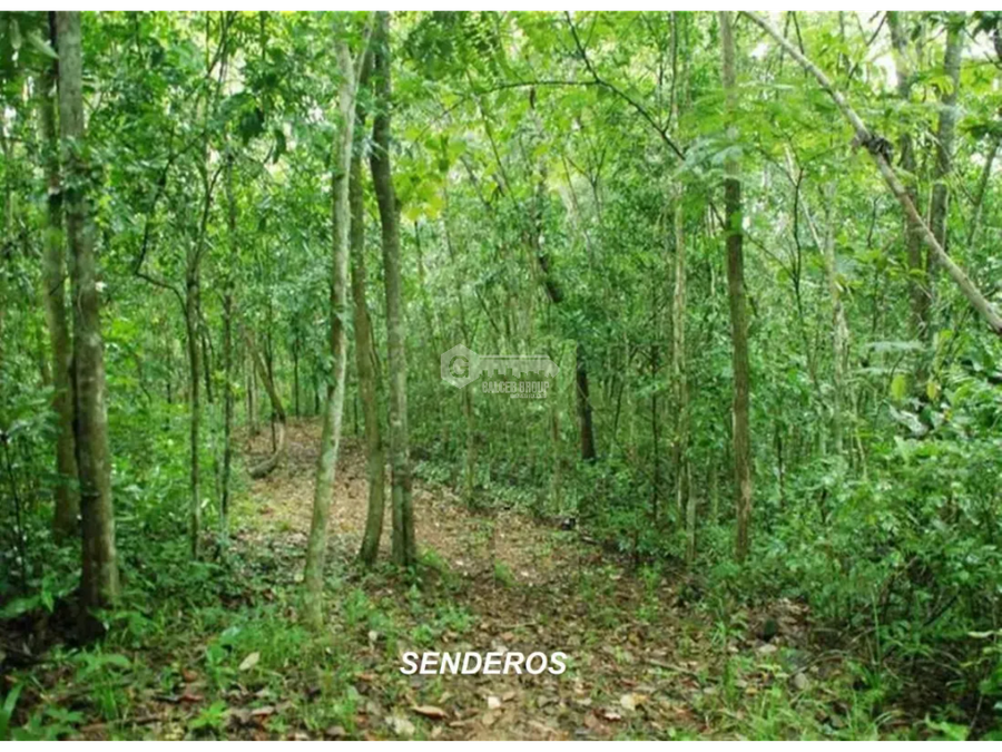 Land at Capira