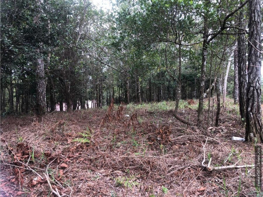 Land at Panamá