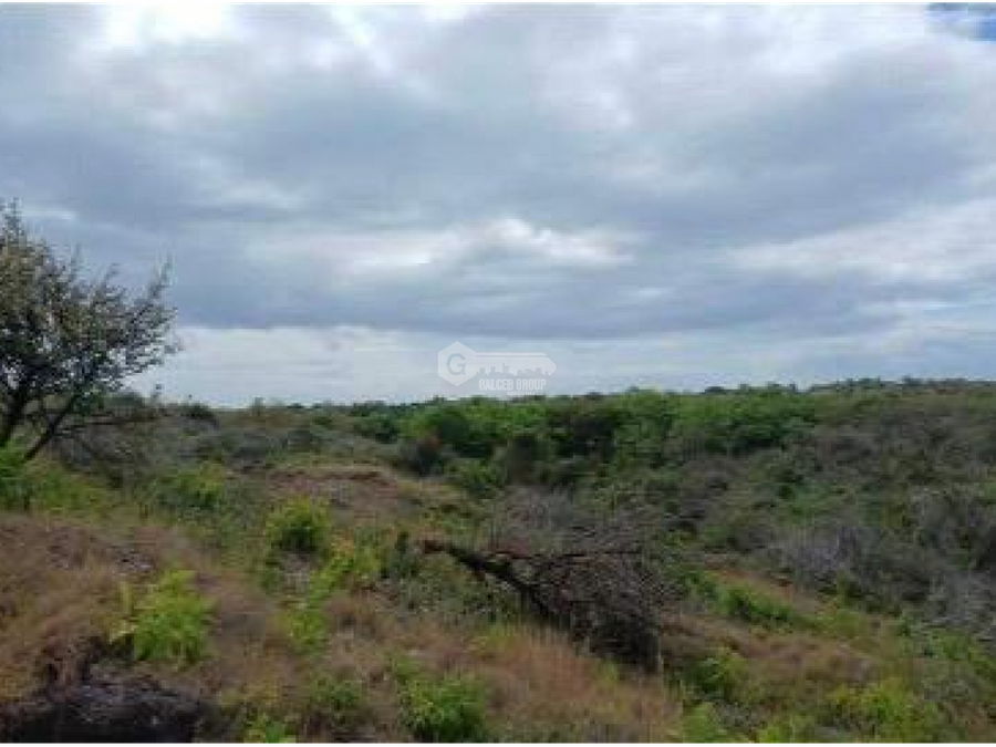 Terreno en Chame