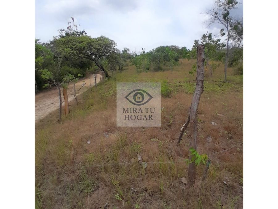 Terreno en San Carlos