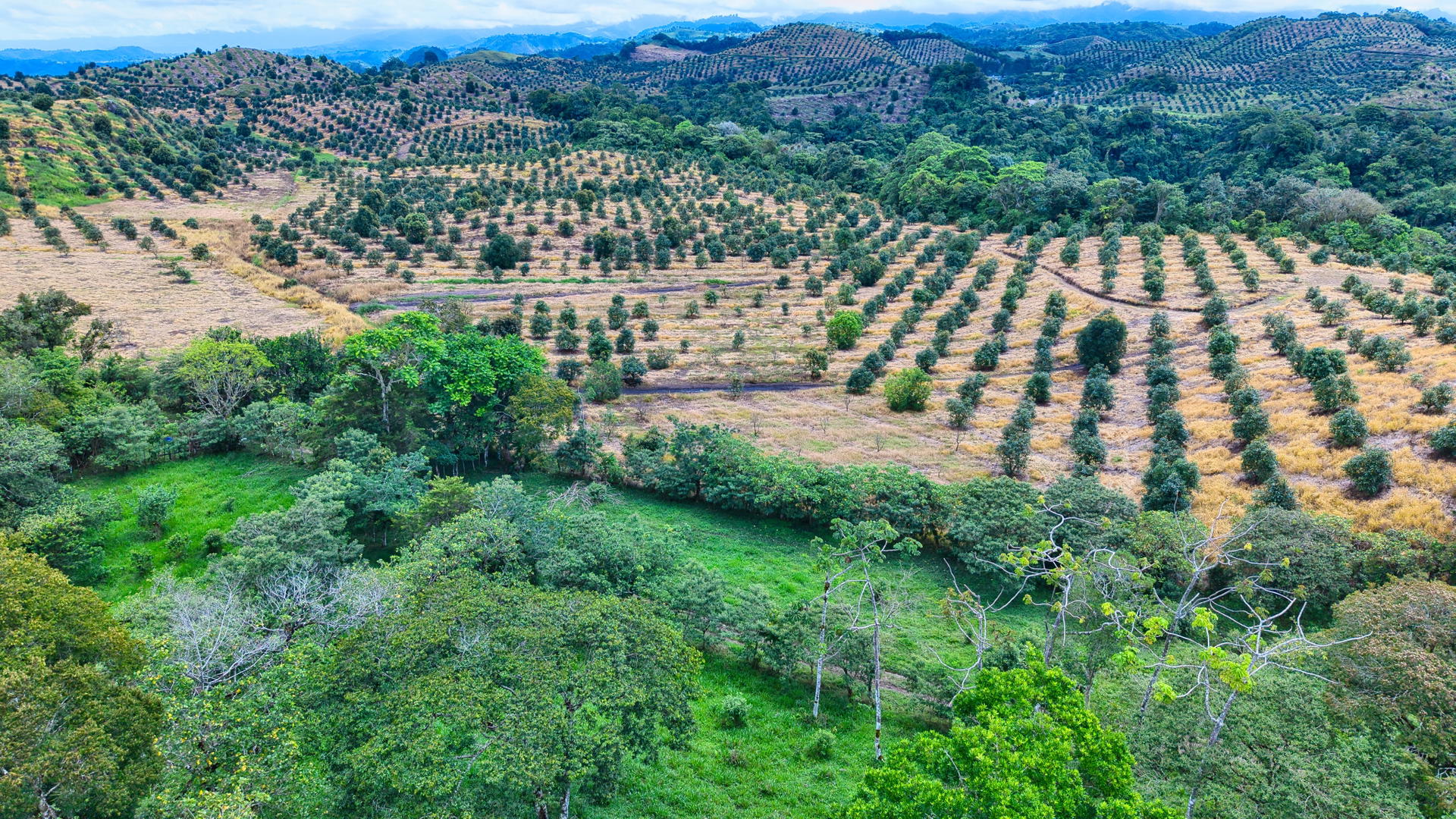 Property at volcàn, bugaba