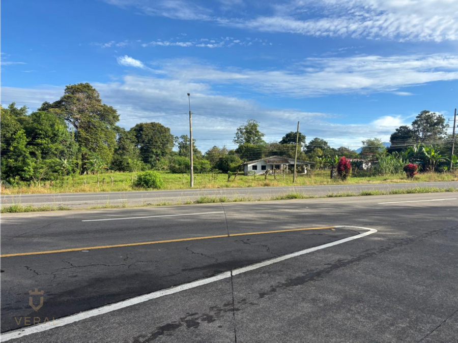 Land at Bugaba