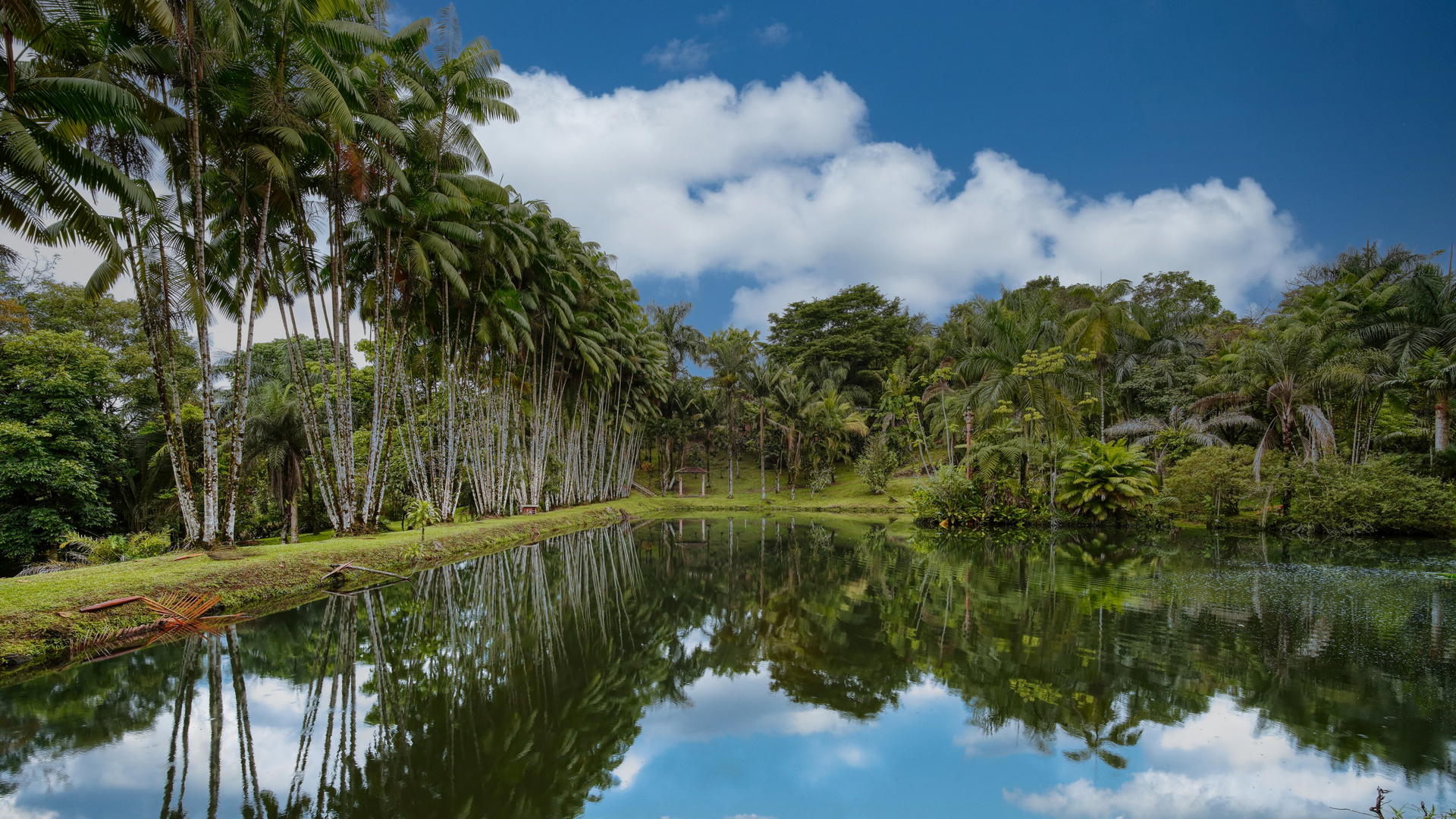 Property at buena vista abajo