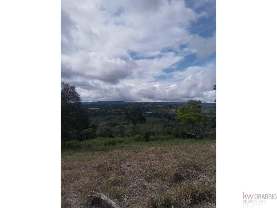 Estate at Renacimiento
