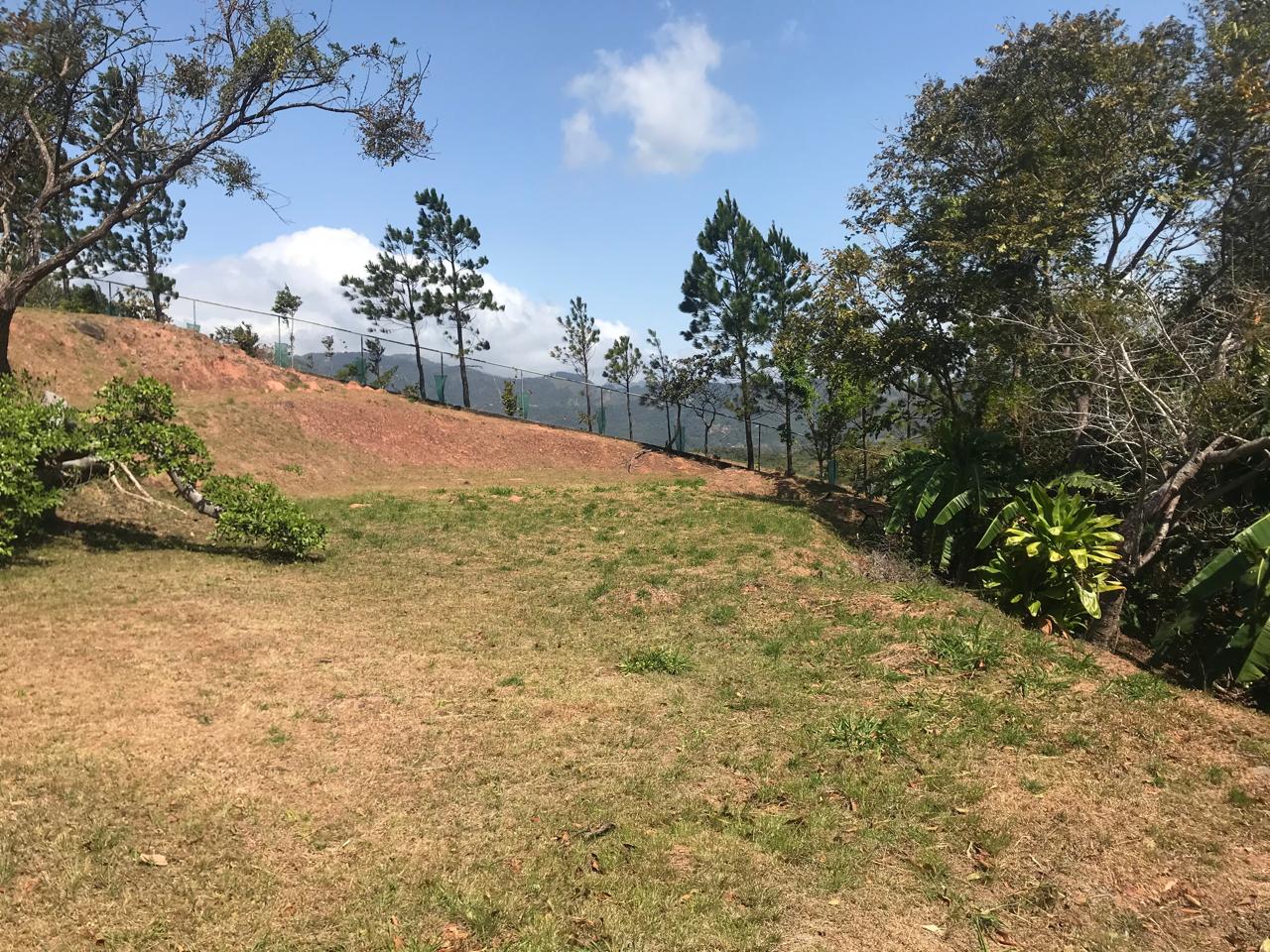 Property at san carlos