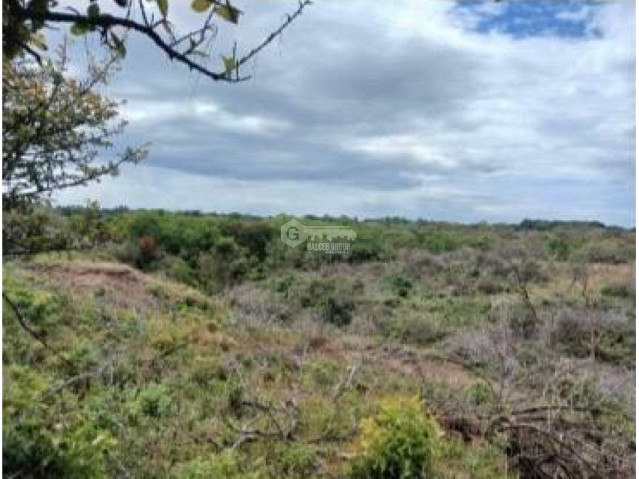 Land at Chame